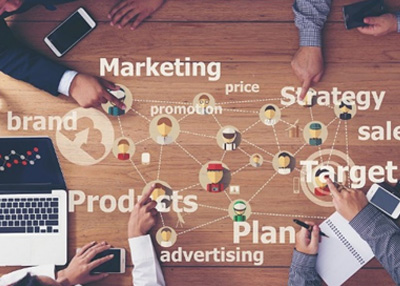 Market surveys, Due Diligence and Internet Surveillance